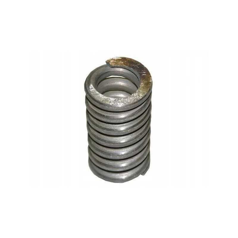 Bison perkrovos sankabos spyruoklė