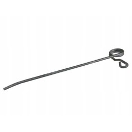 Kraštutinio bizono galvutės sparnų pirštas