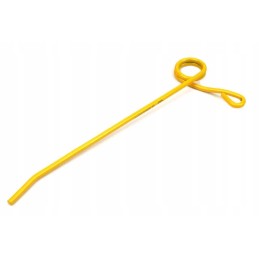 Kraštutinio bizono galvutės sparnų pirštas