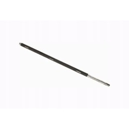 Būgnas, kuliantis naujos rūšies bizonus