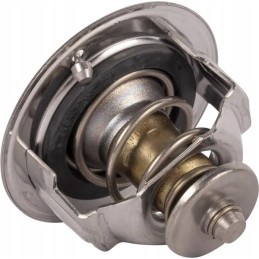 Termostatas 1c01173013 kramp