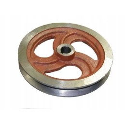 Grūdų skriemulys iii bizonas