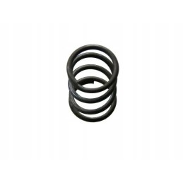 Pavasaris 5060020290 bizonas