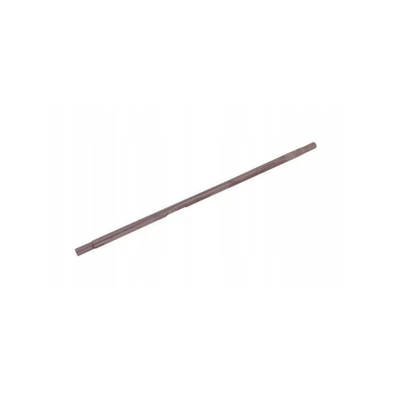 Žemutinio bizonų komplekso Os