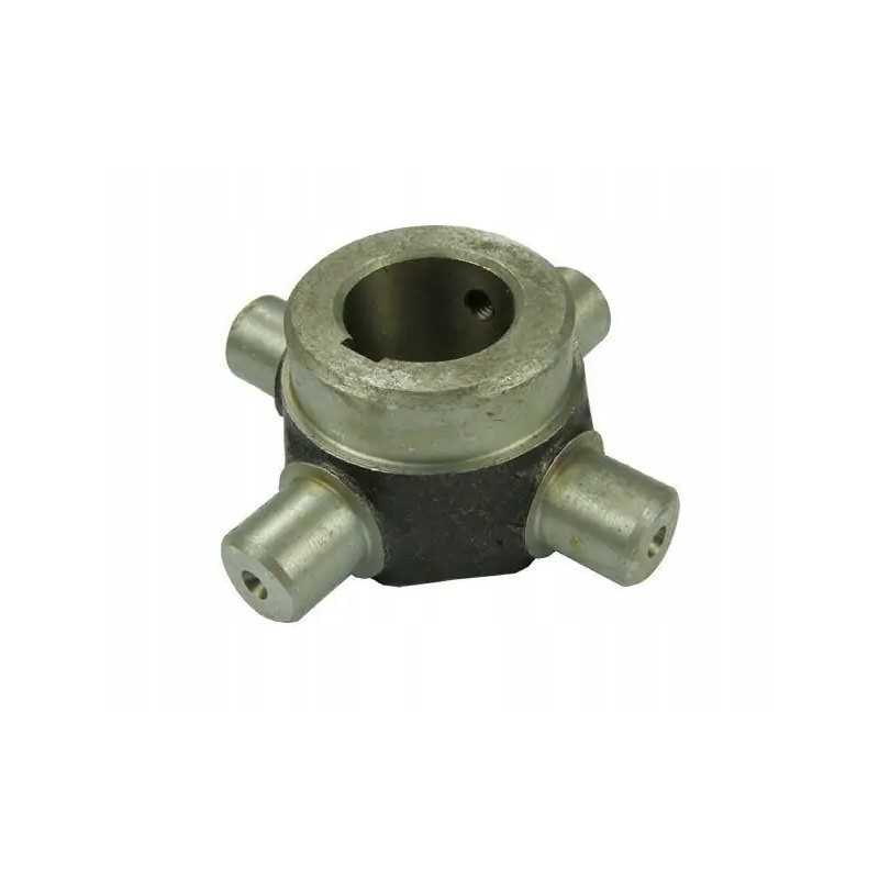 Vairuotojas griebė stumbrą