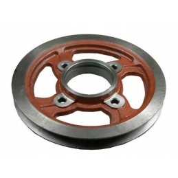 Skriemulys ir bizonas