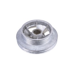 100173032 Šiaudų barstymo skriemulys Rostselmash