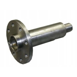 Pintas griebė bizoną