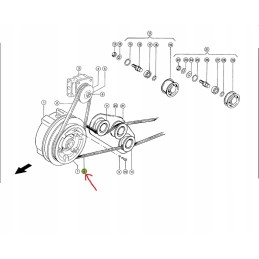 Rapsų peilių pavaros diržas 509206 Claas originalus