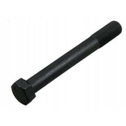 Pagrindinio guolio dangtelio varžtas 9 16x4 mf3