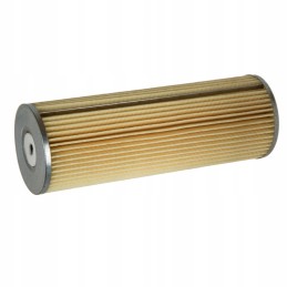 Bison Leyland alyvos filtro įdėklas 25002 150x