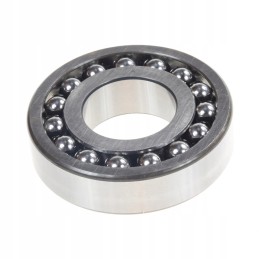 Guolis 45x100x25 mm claas 239223 0 originalus