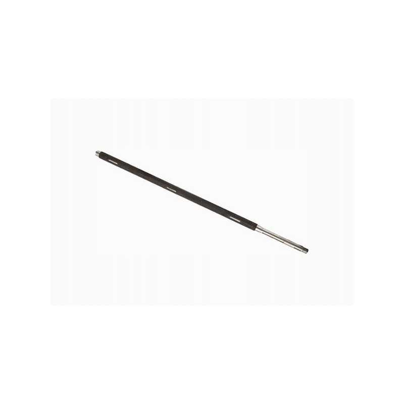 Būgnas, kuliantis naujos rūšies bizonus