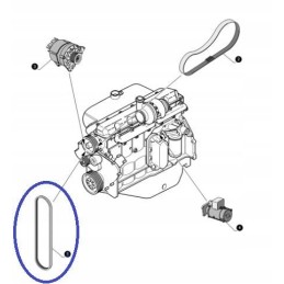 Naujas Holl oro kondicionieriaus vandens siurblio generatoriaus diržas