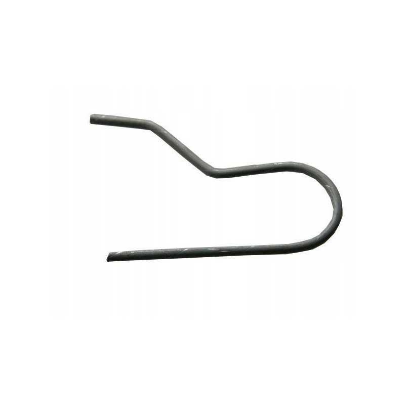 Pavasarį tvirtinantys bizonų sietai