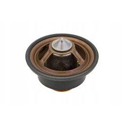 0011738580 variklio termostatas