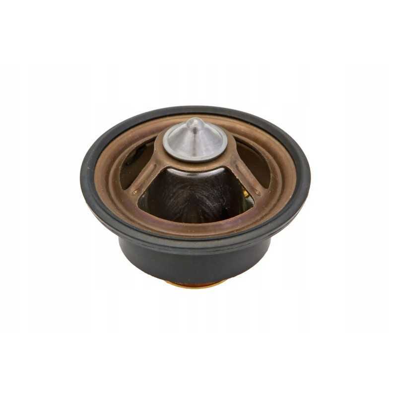 0011738580 variklio termostatas