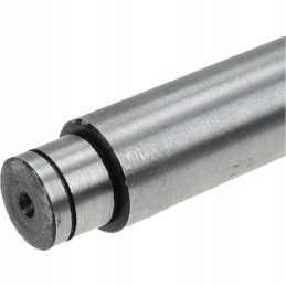 Akceleratoriaus stūmoklis motorbison 5040031720