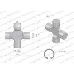 Plataus kampo ritininis kryžminis galvutė 30 2x100 serija 6 waryn