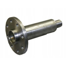 Pintas griebė bizoną