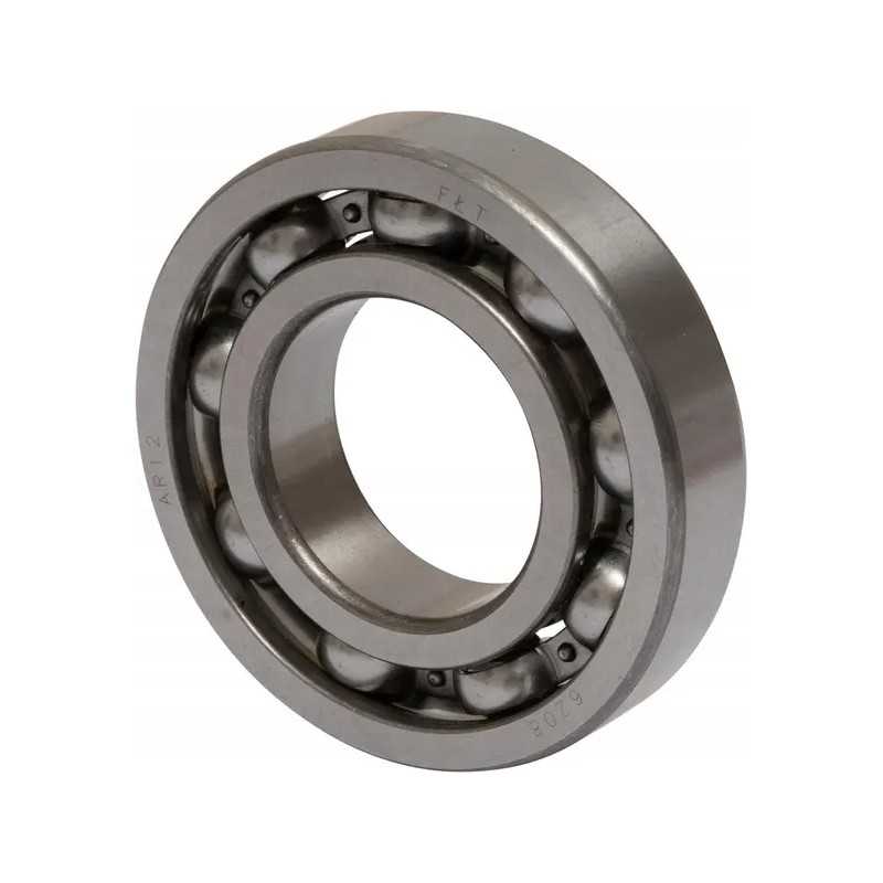 Vienos eilės rutulinis guolis