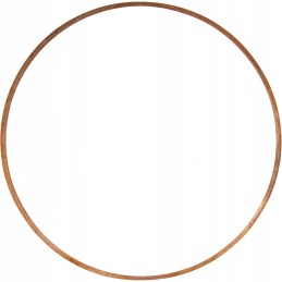 Variklio įdėklo poveržlė c 330 10 vnt ursus