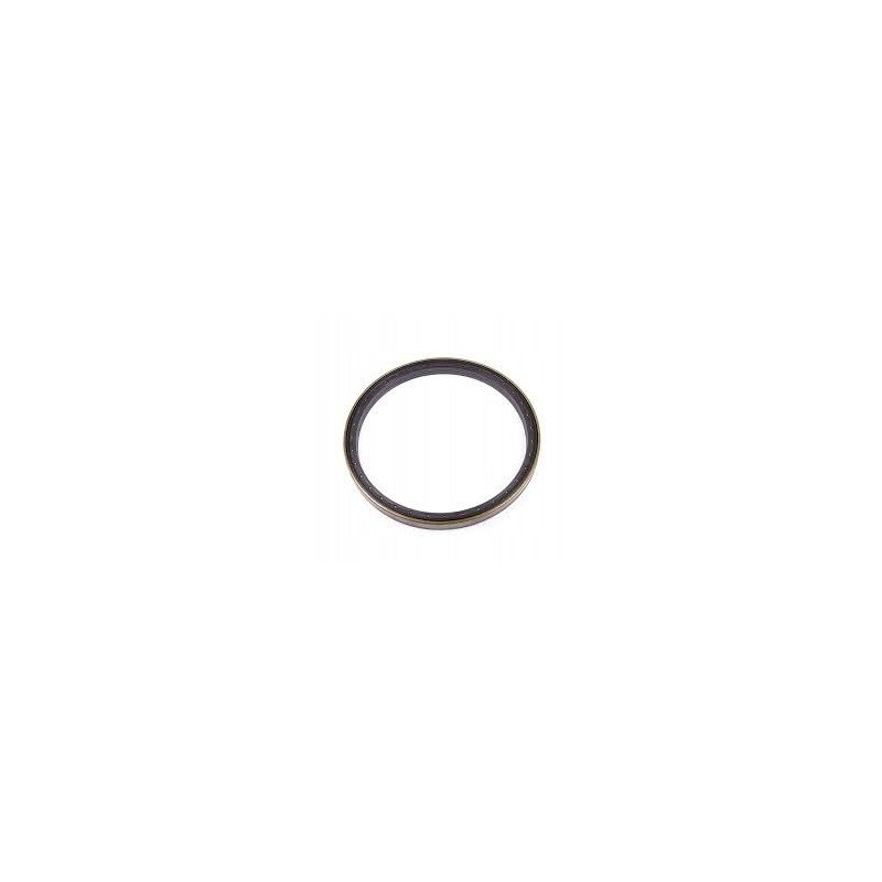 Massey Ferguson hermetikas 417355m1