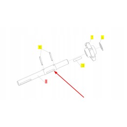 102247419 grūdų elevatoriaus volai