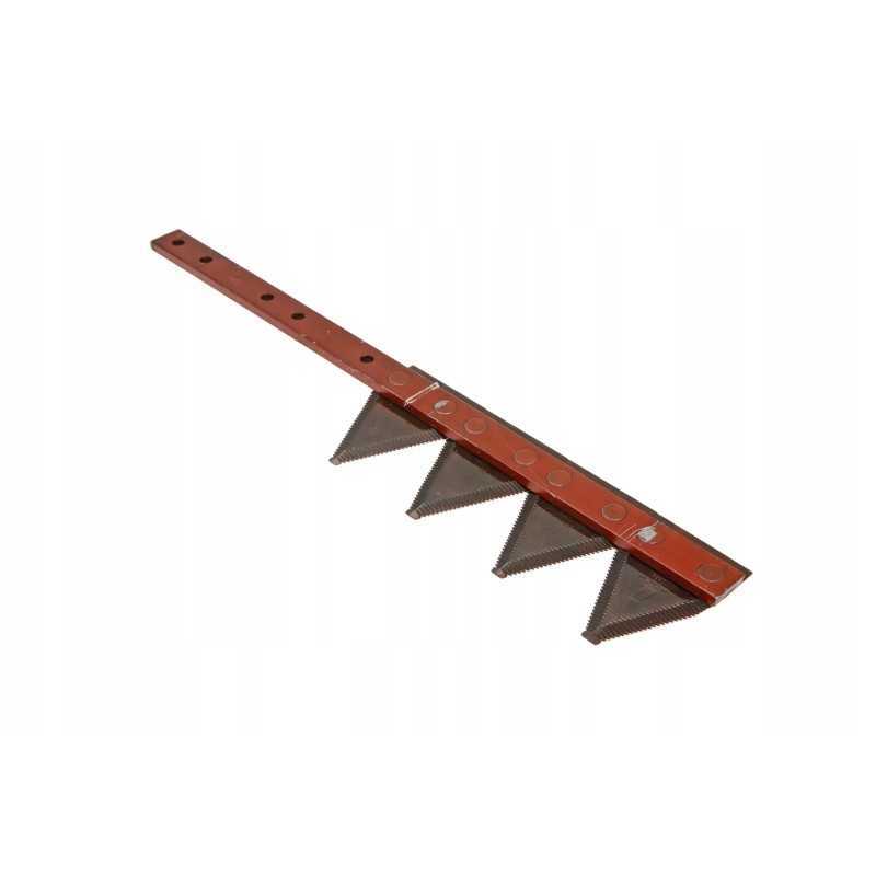 616985 1 dešiniojo dalgio segmentas