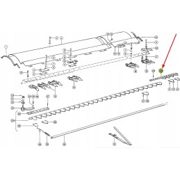 616985 1 dešiniojo dalgio segmentas