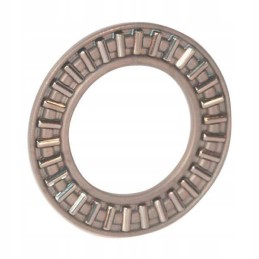 Adatinis ritininis guolis ina fag axk2035