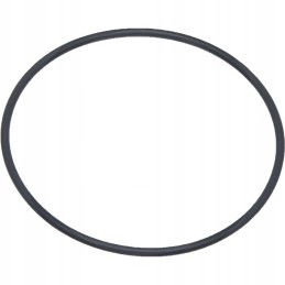 Cilindro įdėklo žiedas c 385 ir dariniai 116 x 4