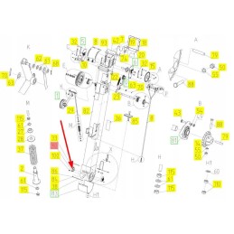 103016145 guolio dangtis