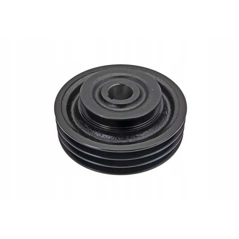 102244763 kūlimo skriemulys