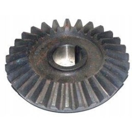 Didelė kūginės krumpliaračio krumpliaratis