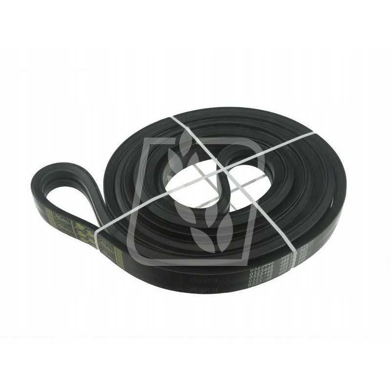 Pas vartus 84817637 05