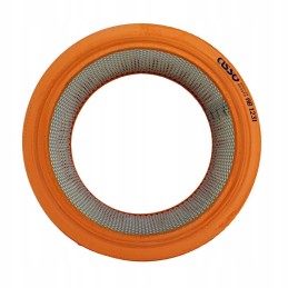 Oro filtro įdėklas wa20 600w fa bison Polish a