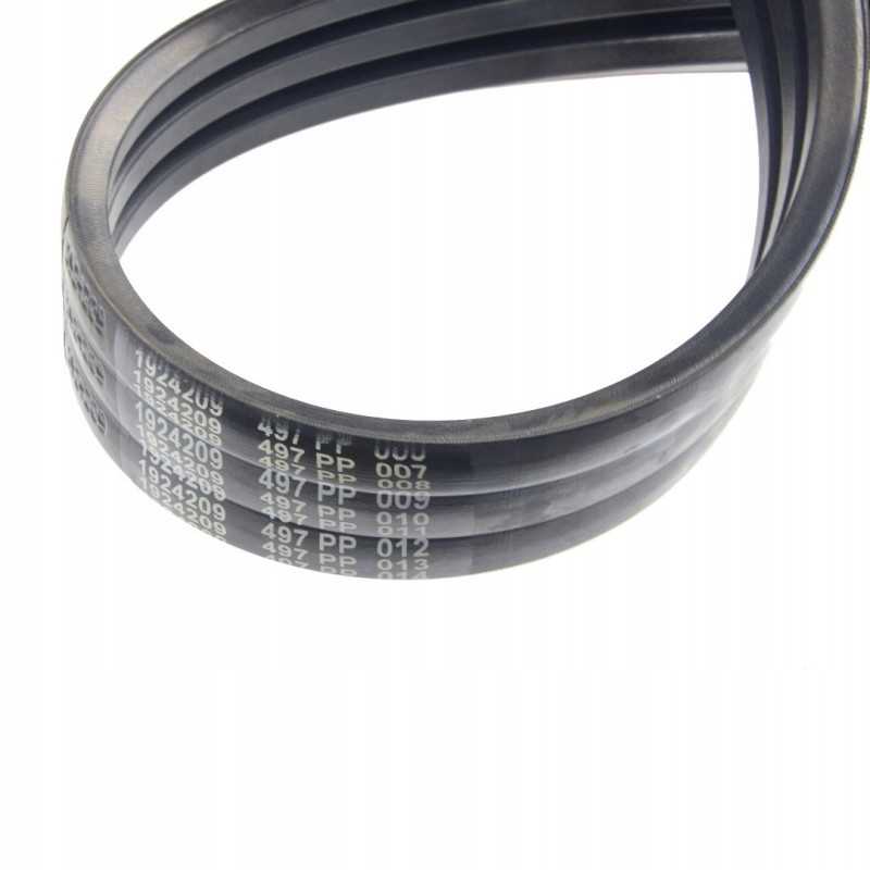 V formos dirzas claas 549237 0 vartai 1924209