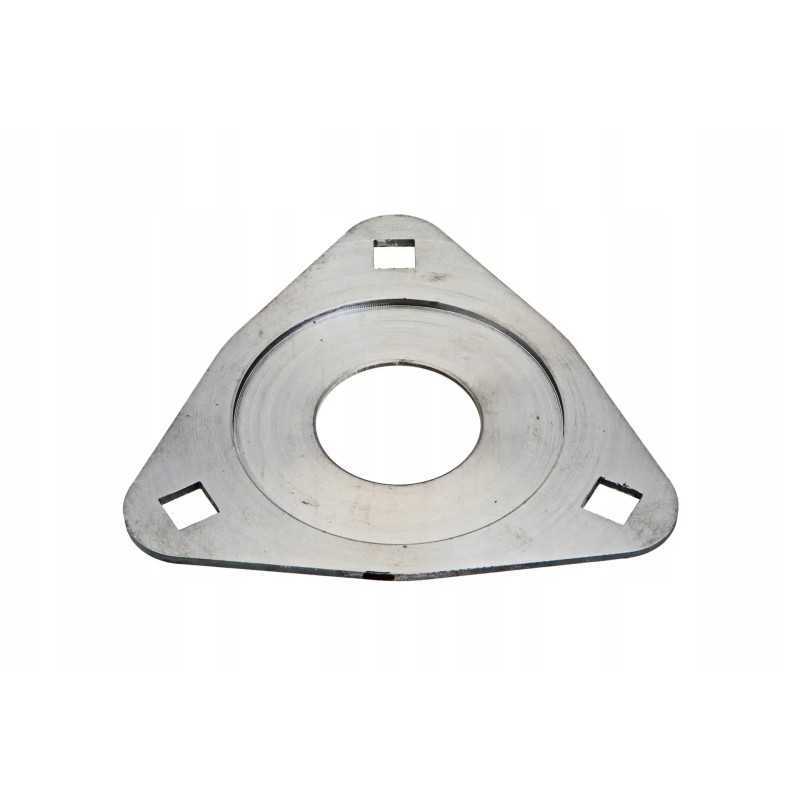 100036761 guolio dangtelio rs