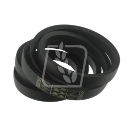 Variatoriaus diržas 30 x 3150 mf 411218m1 vartai