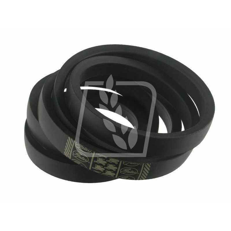 Variatoriaus diržas 30 x 3150 mf 411218m1 vartai