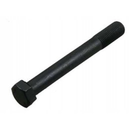 Pagrindinio guolio dangtelio varžtas 9 16x4 mf3 3218144