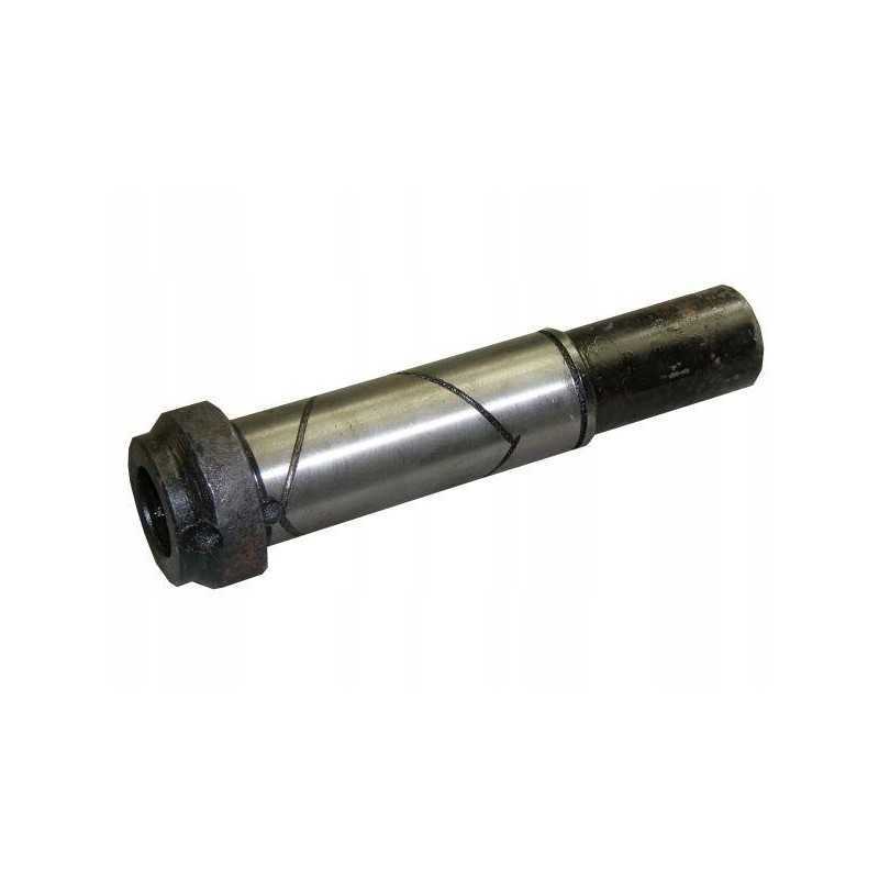 Variklio akceleratoriaus cilindras naujo tipo Bison