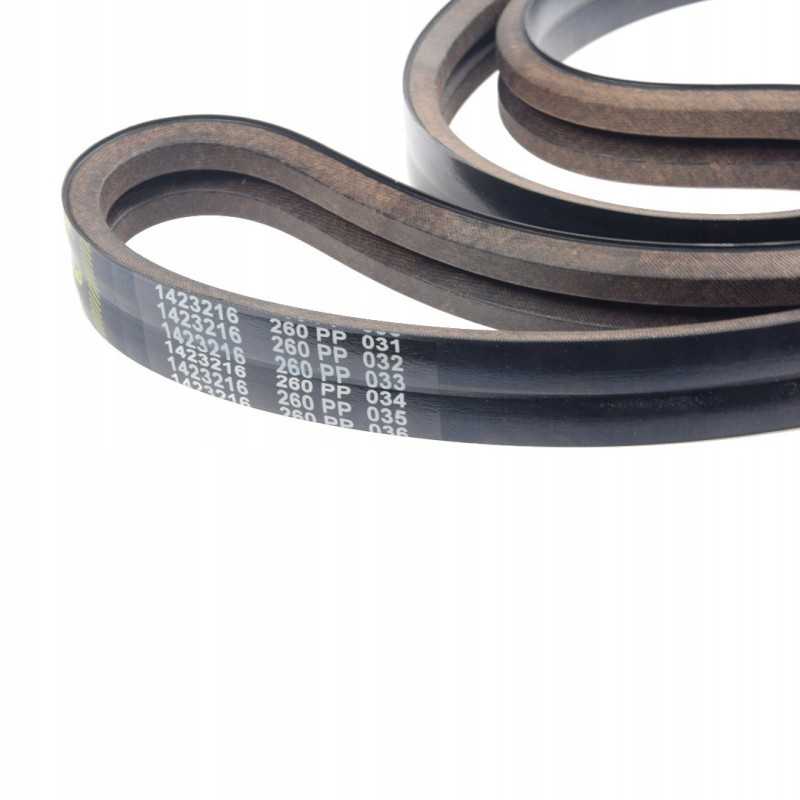 V formos dirzas claas 667958 3 vartai 1423216