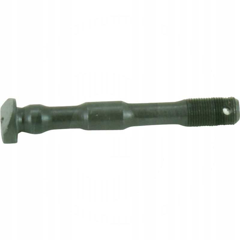 C 360 variklio švaistiklio varžtas