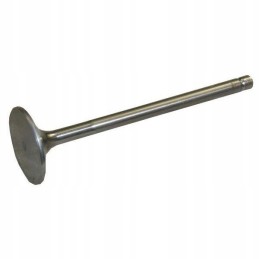 Bizon Paradowski išmetimo vožtuvas pl607910p