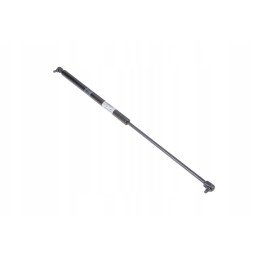 216587 0 dujų balionas