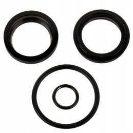 Bizon ritės cilindro sandariklių komplektas