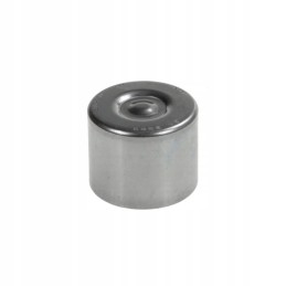 Adatinis guolis bk2526 claas 234491 0 ntn