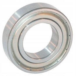 Rutulinis guolis ina fag 6201zz